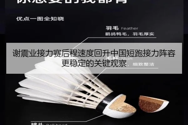 谢震业接力赛后程速度回升中国短跑接力阵容更稳定的关键观察